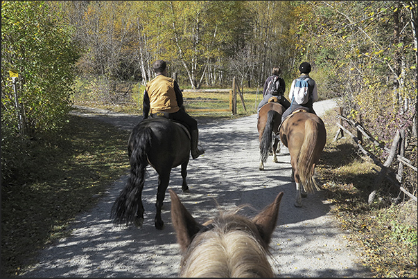 The horse riding starts on the cross-country ski track towards Beaulard The horse riding starts on the cross-country ski track towards Beaulard
