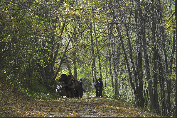 Stop to visit the village of Chateau Beaulard