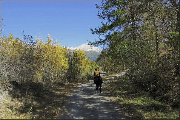 On the road at an altitude of 1400 m, towards the town of Oulx