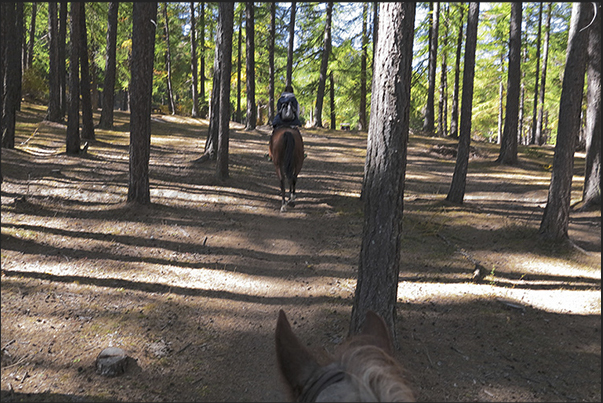 Uphill into the woods to Vazon village