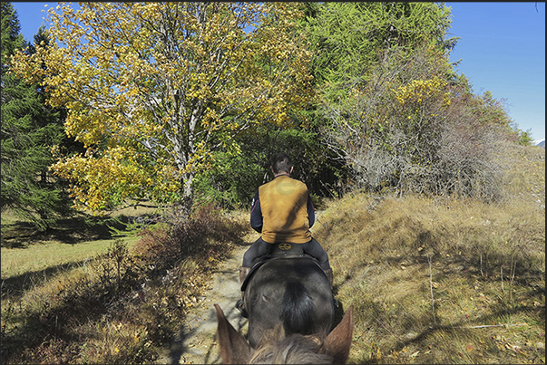 Uphill into the woods to Vazon village