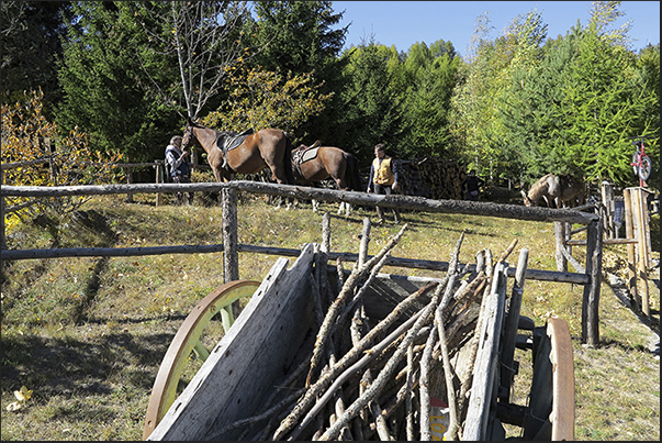 Vazon alpine village. The fence for horses Vazon alpine village. The fence for horses