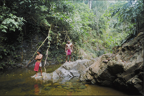 Indios Embera in the Forests of Lake Gatun Indios Embera in the Forests of Lake Gatun
