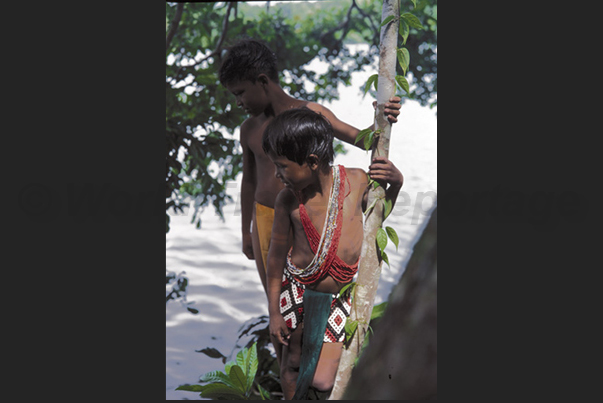 Village Indios Embera in the Forests of Gatun Lake