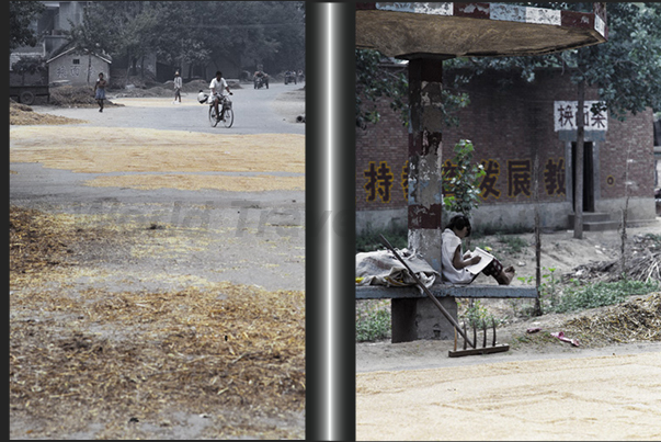 On the streets, the only unproductive part of the fields, the farmers put the grains to dry