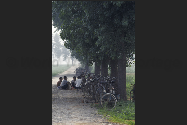 A moment of rest during the gathering of watermelons near Zhengzhou