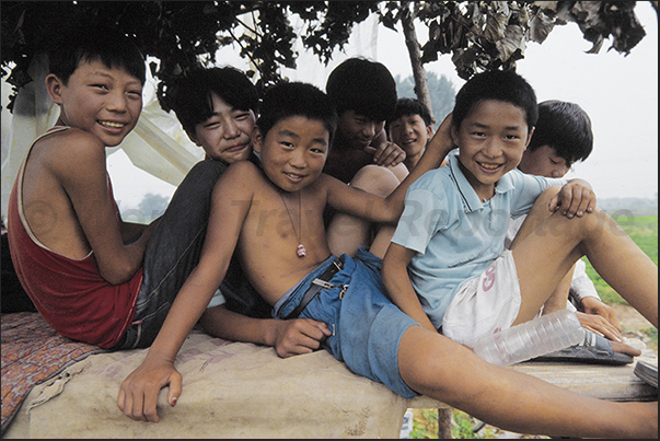 Children follow their parents in the fields while harvesting watermelons near Zhengzhou