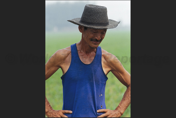 In fields near Tianjin, one of the most important places for the production of watermelons