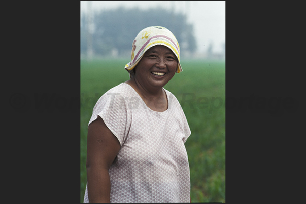 In fields near Tianjin, one of the most important places for the production of watermelons In fields near Tianjin, one of the most important places for the production of watermelons