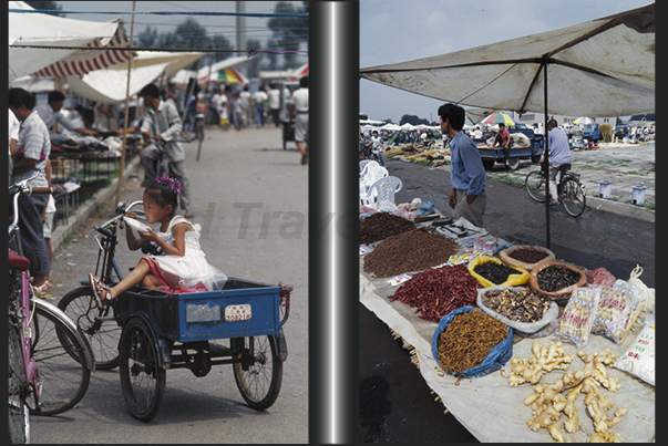 The big fruit and vegetable market in Tianjin The big fruit and vegetable market in Tianjin