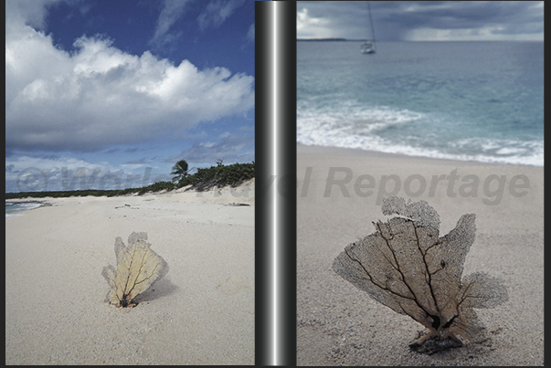 The beach of Srub Island, the island located in the eastern tip of Anguilla