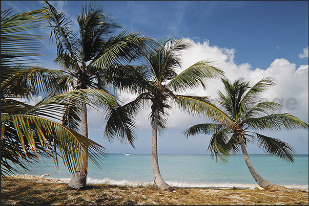 The calm and sheltered waters in the south side of the island The calm and sheltered waters in the south side of the island