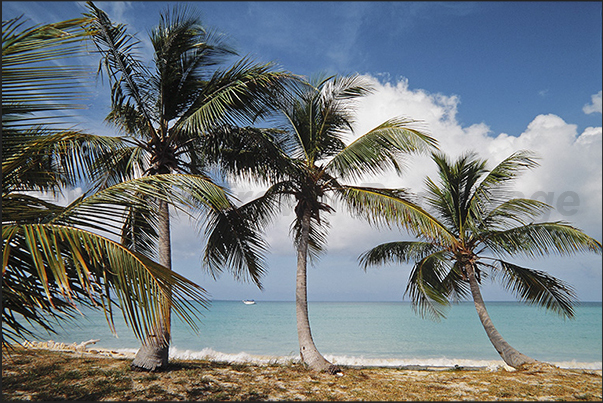 The calm and sheltered waters in the south side of the island