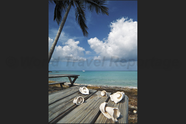 The calm and sheltered waters in the south side of the island The calm and sheltered waters in the south side of the island