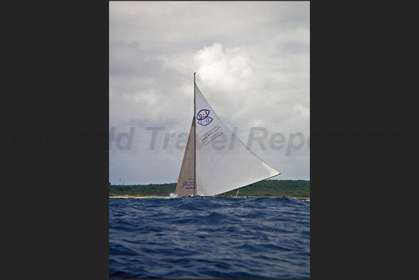 The first part of the draft takes place in the north side of the island where the ocean creates high waves that break on the coast The first part of the draft takes place in the north side of the island where the ocean creates high waves that break on the coast