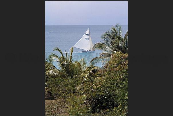 Each village follows its own boat around the island creating a great ferment and incitement of the crews along the coasts