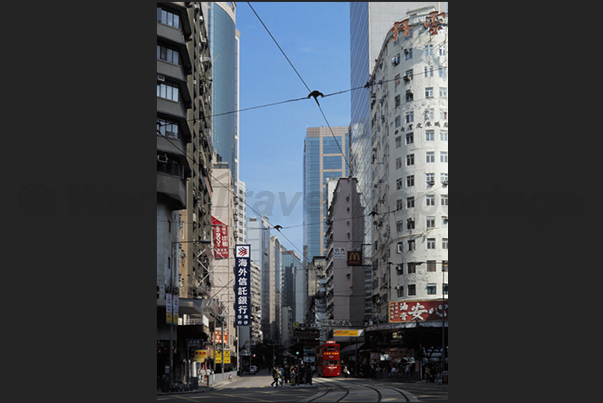 The trams seem to disappear, swallowed up by the skyscrapers of the town