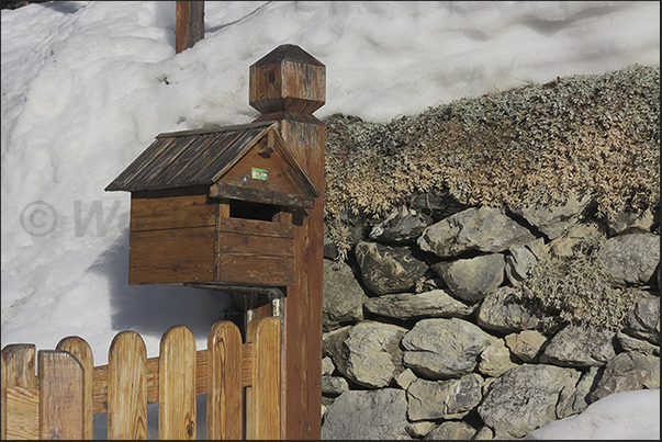 Glimpses of the village of Sainte Catherine (1790 m)