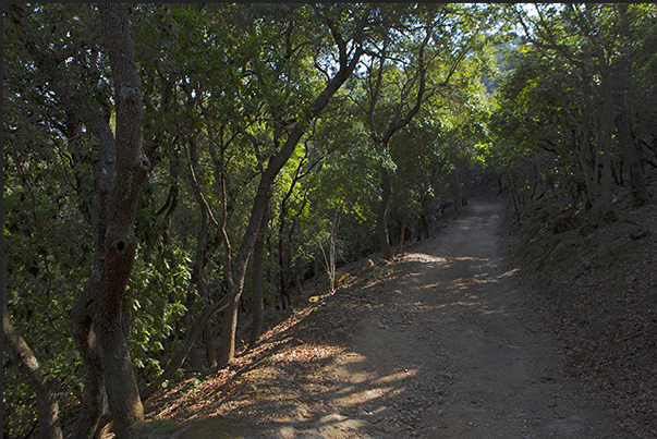 On the path that leads to the Fort de Point Man, the eastern tip of the island On the path that leads to the Fort de Point Man, the eastern tip of the island