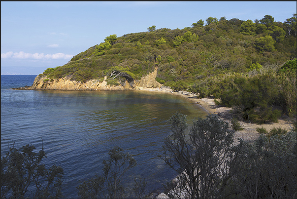 Baie de la Palud (Swamp bay)