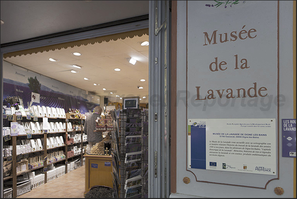 Digne. Lavender Museum