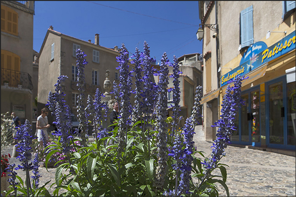 The square of the fountain and the wash-house of Valensole