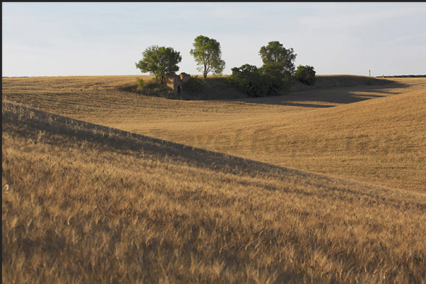 Not only the lavender fields offer suggestive landscapes