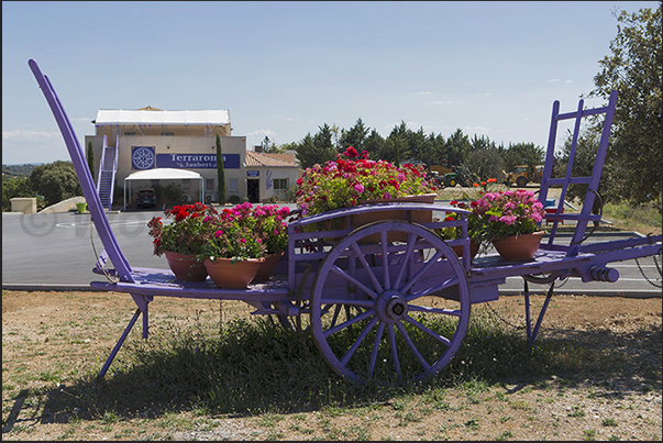 A lavender distillery to extract the essences from the plant