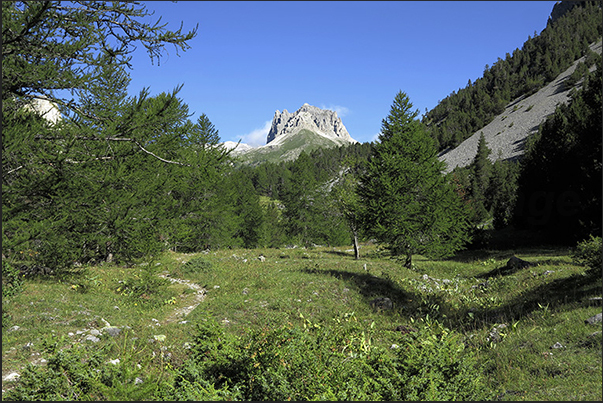 Grand Seru (2.889 m) separates the valley of Lake Peyrot on the right with the valley of Mount Tabor on the left Grand Seru (2.889 m) separates the valley of Lake Peyrot on the right with the valley of Mount Tabor on the left