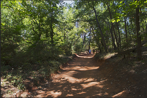 Trails in Provencal Canyon Trails in Provencal Canyon