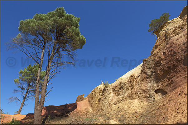 Provencal Canyon. Area called Sahara Provencal Canyon. Area called Sahara
