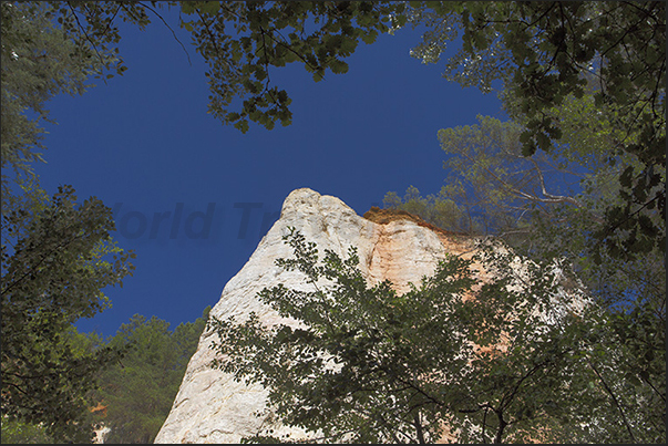 Walking through the woods you will discover unexpected colored areas especially white and red