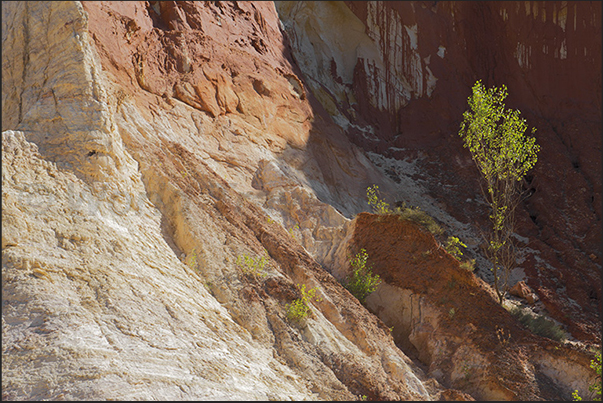 Contrasts of lights, shadows and colors are always present along the paths of the canyon Contrasts of lights, shadows and colors are always present along the paths of the canyon