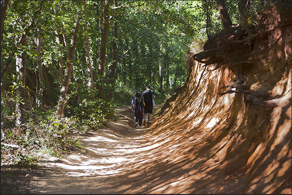 Several kilometers long, the trails reach every place of tourist interest in Provençal Canyon