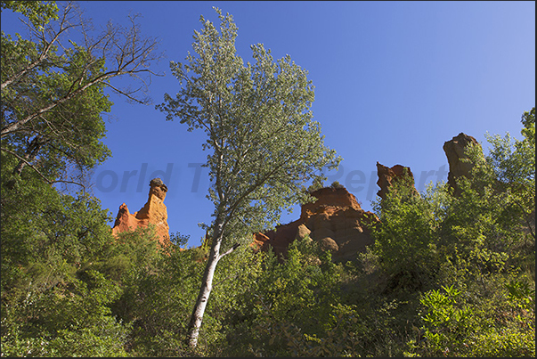 Pinnacles appear suddenly above the forest as guardians of Provencal Canyon paths Pinnacles appear suddenly above the forest as guardians of Provencal Canyon paths