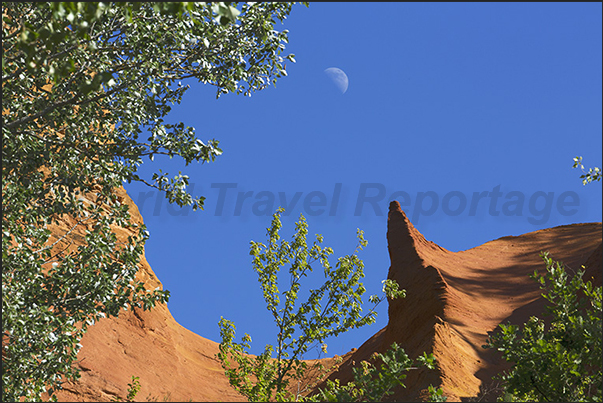 A high pinnacle above the forest indicates the moon