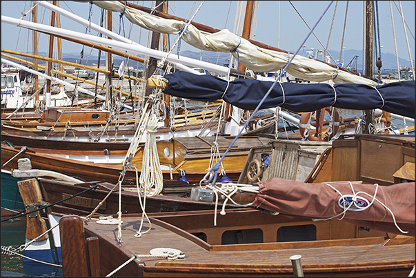 Calasetta Port, the typical Latin sailboats of the island Calasetta Port, the typical Latin sailboats of the island