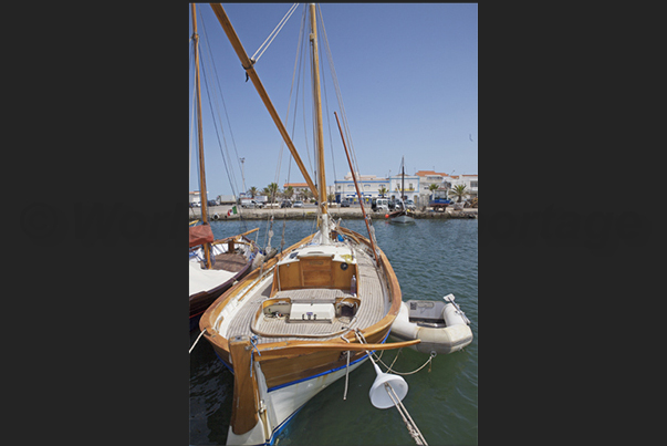 Calasetta Port, the typical Latin sailboats of the island Calasetta Port, the typical Latin sailboats of the island