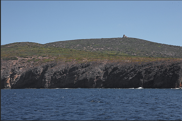 Saint Antioco Island, cliff near Porto Sciusciau Saint Antioco Island, cliff near Porto Sciusciau