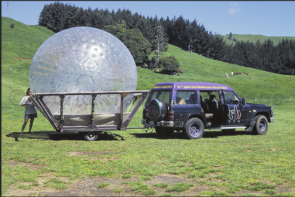 Departure of the zorbing on the top of the hill on the shores of Rotorua Lake Departure of the zorbing on the top of the hill on the shores of Rotorua Lake