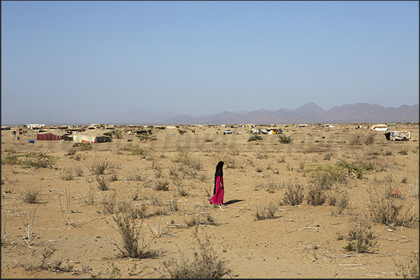 On the road toward Suakin. Villages in the desert between Port Sudan and Suakin