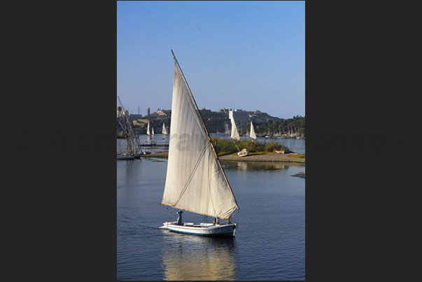 Feluccas, typical sailing boats of Nile near the Aswan dam Feluccas, typical sailing boats of Nile near the Aswan dam