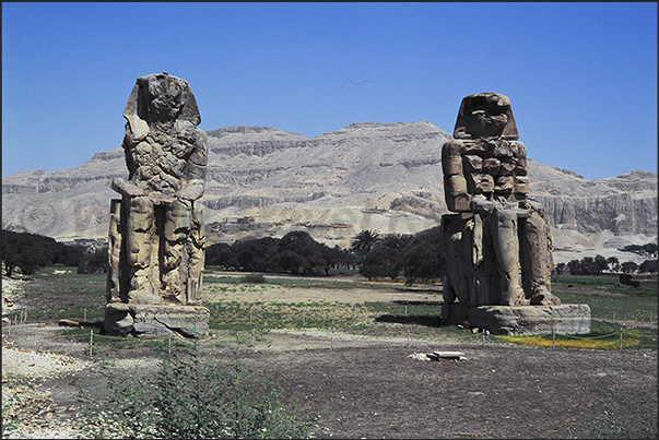 Colossi of Memnon, huge statues of Pharaoh Amenhotep III erected in the necropolis of Thebes on the banks of Nile Colossi of Memnon, huge statues of Pharaoh Amenhotep III erected in the necropolis of Thebes on the banks of Nile