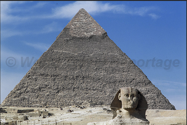 Cairo. The sphinx in front of Kefren pyramid Cairo. The sphinx in front of Kefren pyramid