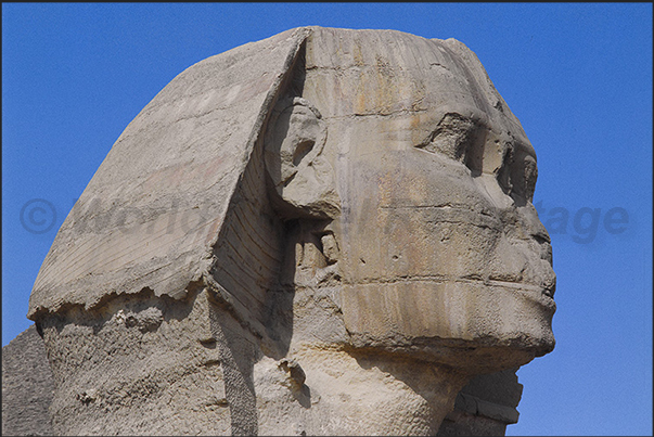 Cairo. The sphinx Cairo. The sphinx