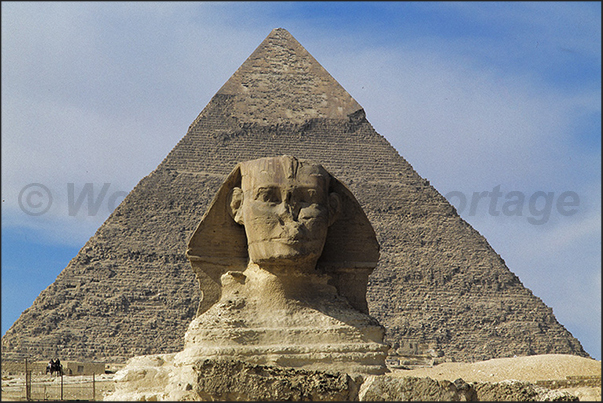 Cairo. The sphinx in front of Kefren pyramid Cairo. The sphinx in front of Kefren pyramid