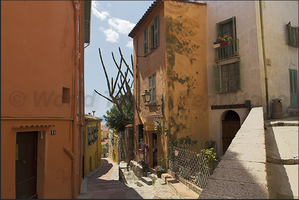 Alleys of the historical center Alleys of the historical center