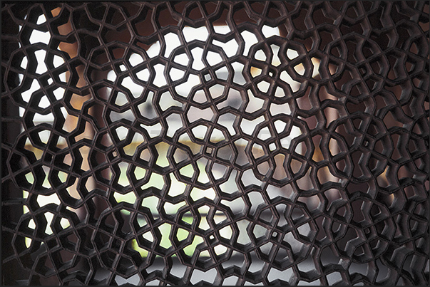 Agra Red Fort. Defense guards on windows