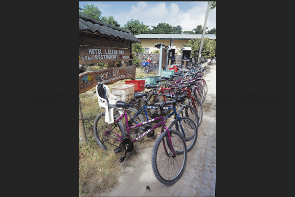 Bicycle rental, the only way to go around the island Bicycle rental, the only way to go around the island