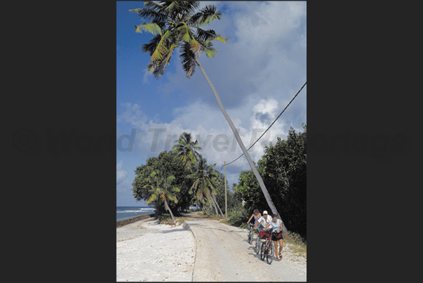 The bicycle is the only way to go around the island The bicycle is the only way to go around the island